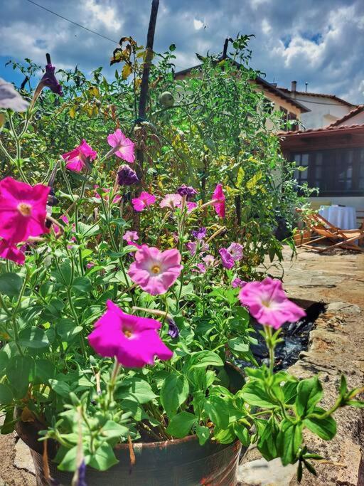 Panthea Cottage Stavroúpolis Dış mekan fotoğraf