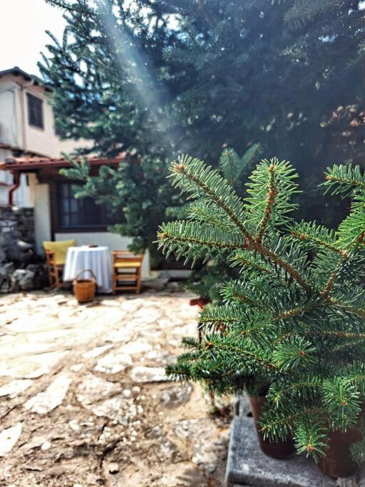 Panthea Cottage Stavroúpolis Dış mekan fotoğraf